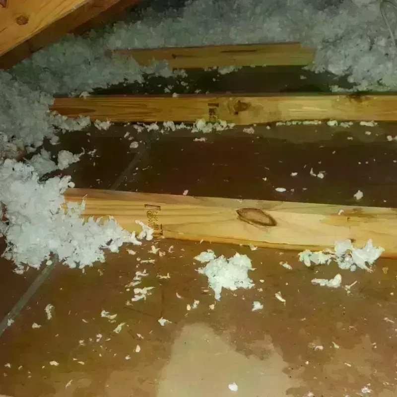 Attic Water Damage in Gwinnett County, GA