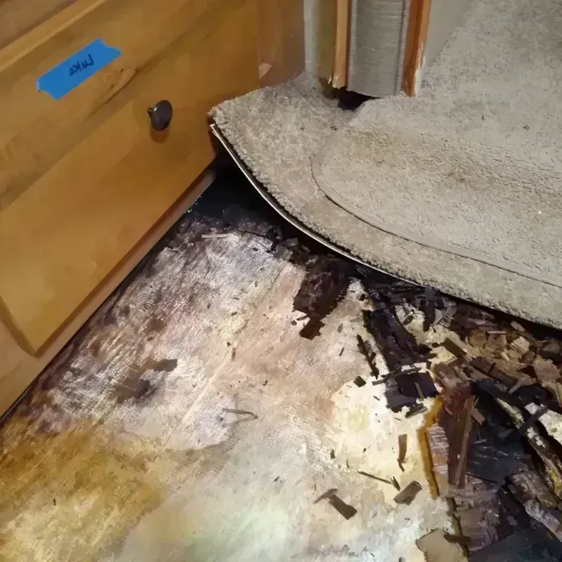 Wood Floor Water Damage in Gwinnett County, GA